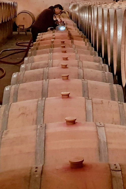 Terroir To Table: Wine Lovers' Guide to Food and Wine