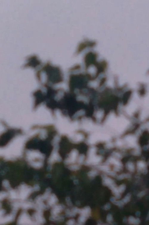 Exercícios Fílmicos No.1