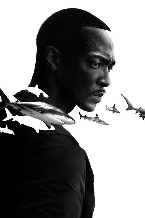 Anthony Mackie: Cápák tengerpartja