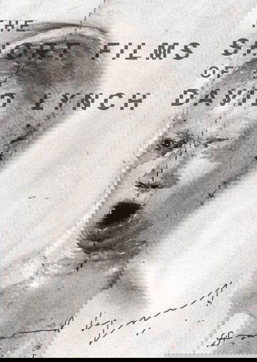 The Short Films of David Lynch