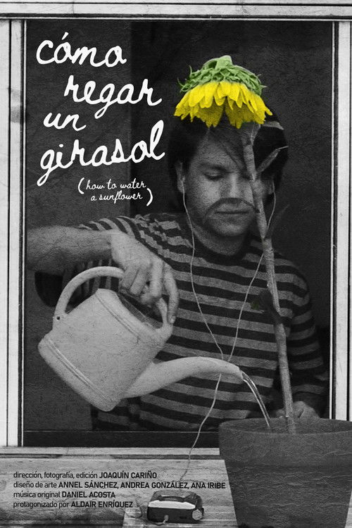 How to Water a Sunflower