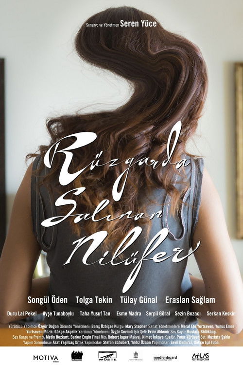 The Swaying Waterlily