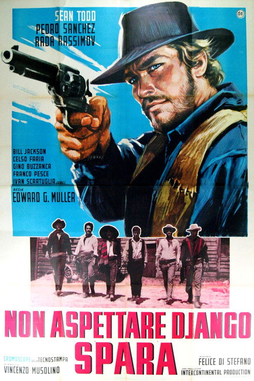 Don't Wait, Django... Shoot!