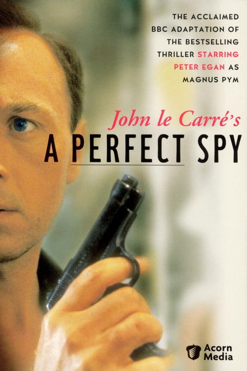 A Perfect Spy