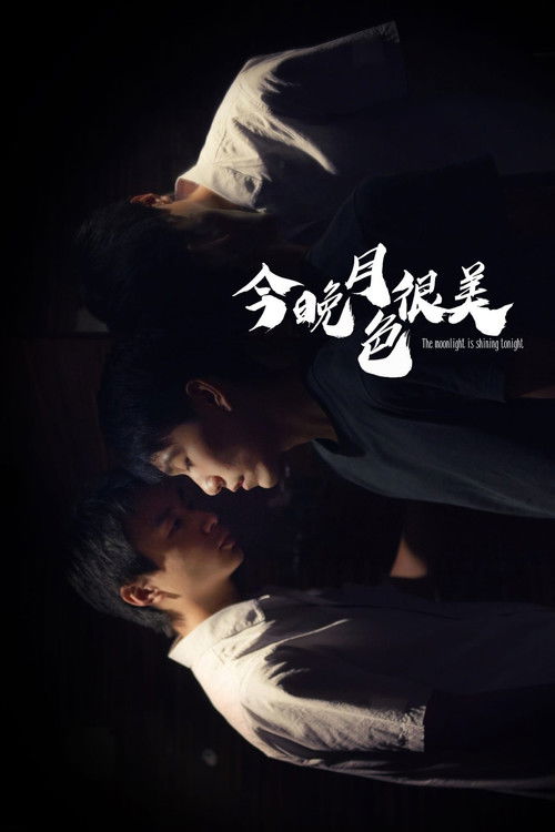 The Moonlight is Shining Tonight