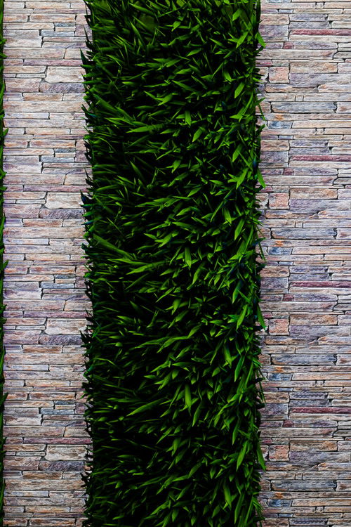 The Elle Duncan Show