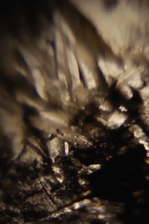 Ken Jacobs / diNMachine @ The Nervous Magic Lantern Festival