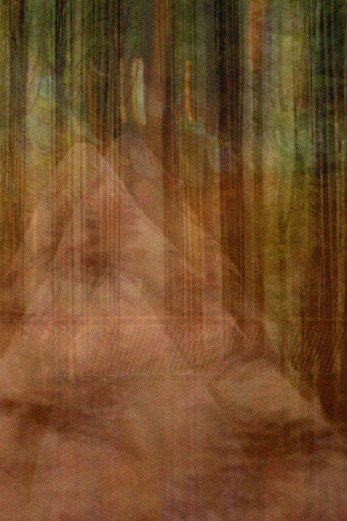 Nett av bortkomne inntrykk