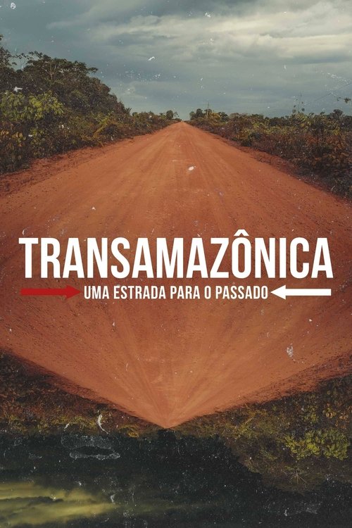 Transamazonica: A Highway to the Past