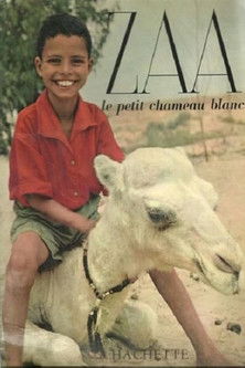 Zaa, the Little White Camel