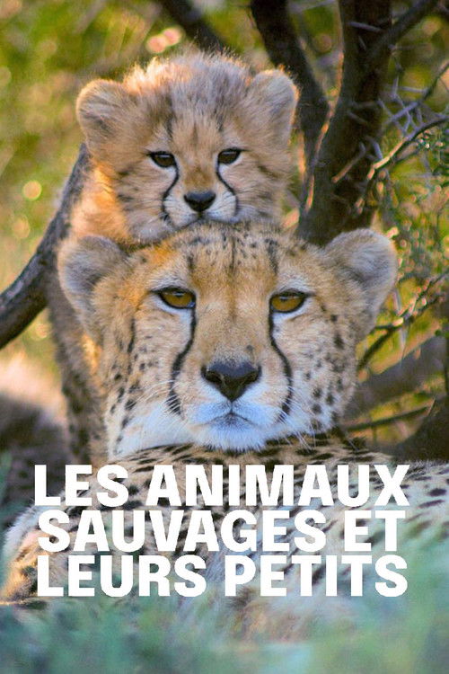 Les animaux sauvages et leurs petits