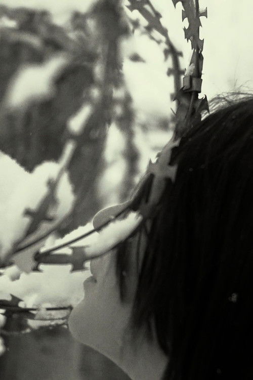 Не Санитары