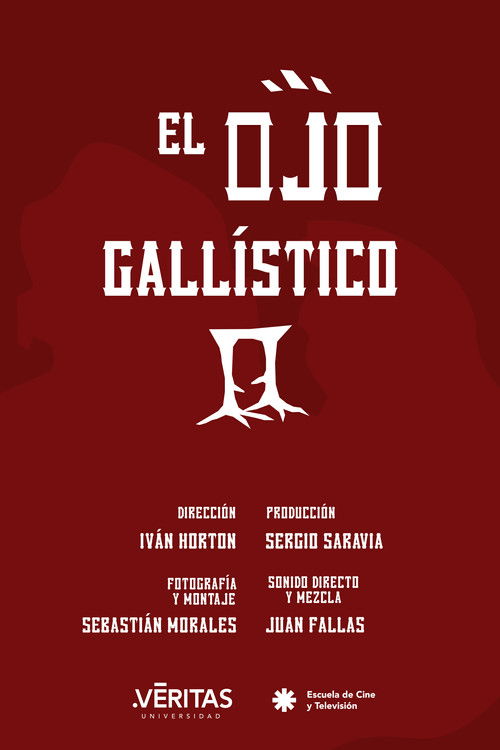 Through the Gaze of the Cockfighter