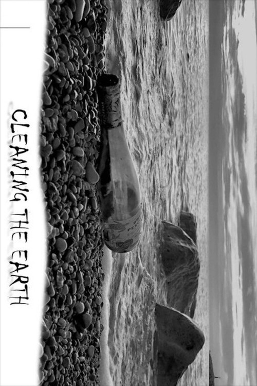 Cleaning the Planet Earth