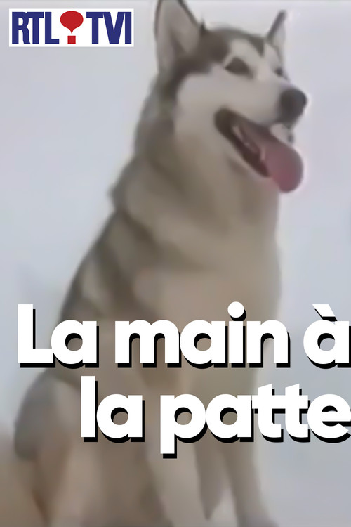 La main à la patte