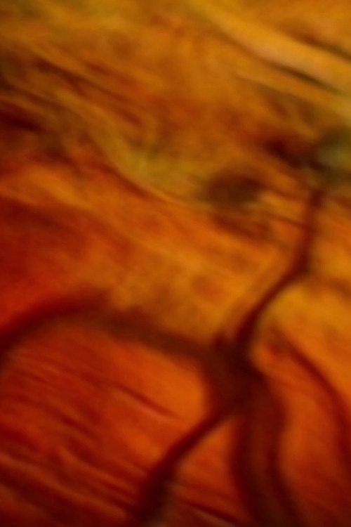 Heliografía (remix)