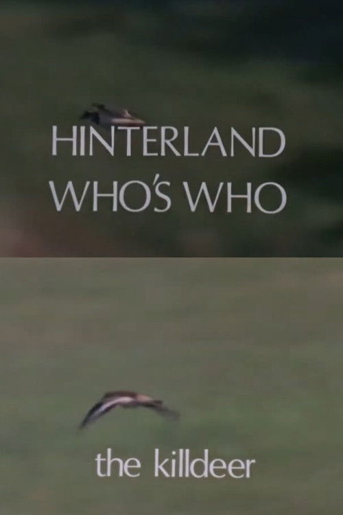 Hinterland Who's Who: Killdeer