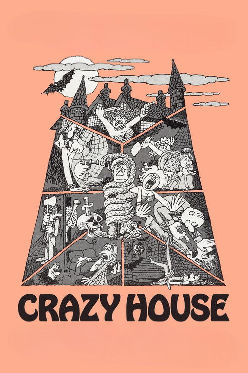 The House in Nightmare Park