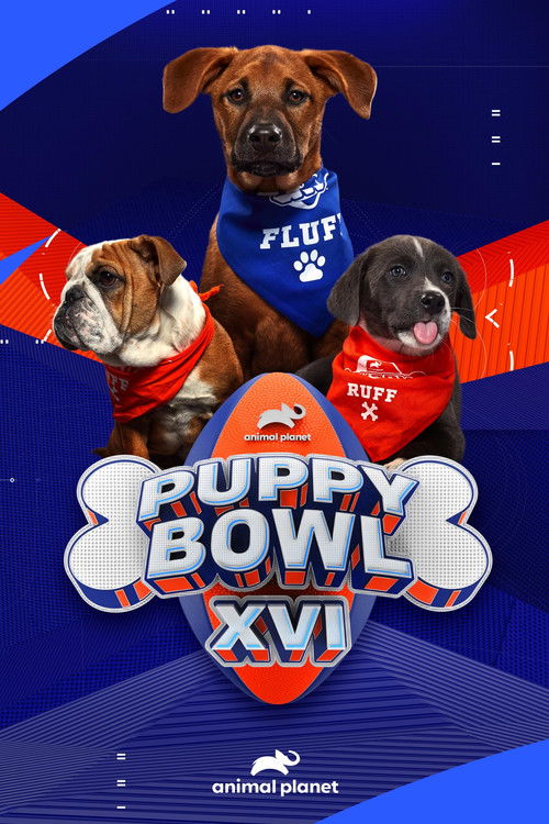 Puppy Bowl XVI
