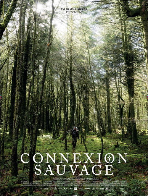 Connexion sauvage