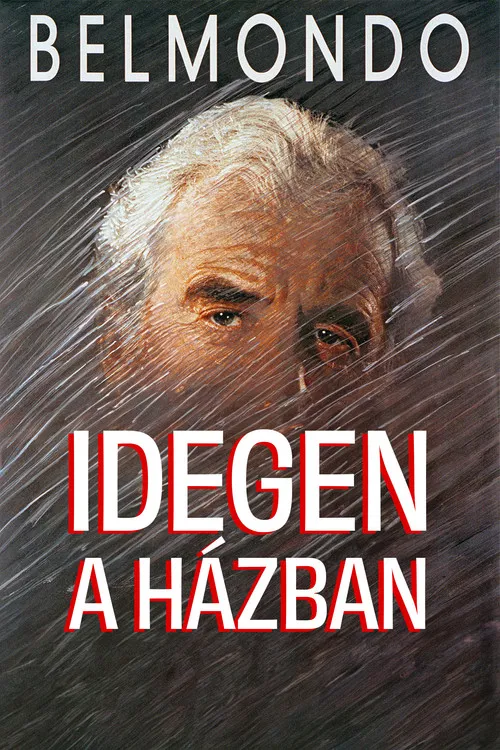 Idegen a házban