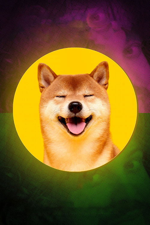 This Is Not Financial Advice