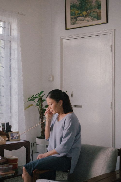 Under the Same Pink Sky