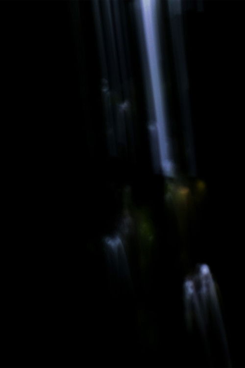 Distico (Apertura I - II)