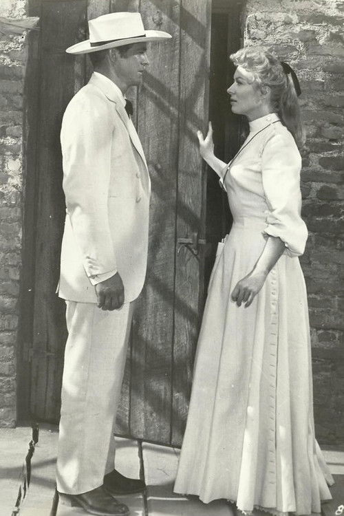 Strange Lady in Town