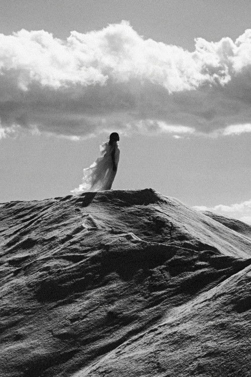 what colours can we dream in this night filled with salt?