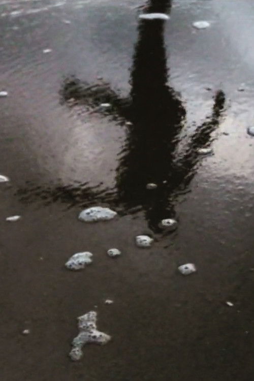 A Guide to Breathing Underwater