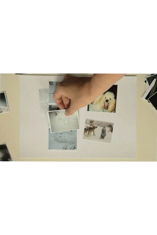 Ver nieve [To See Snow]