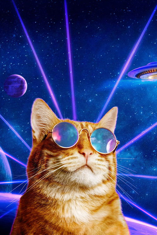 World's Funniest Animals