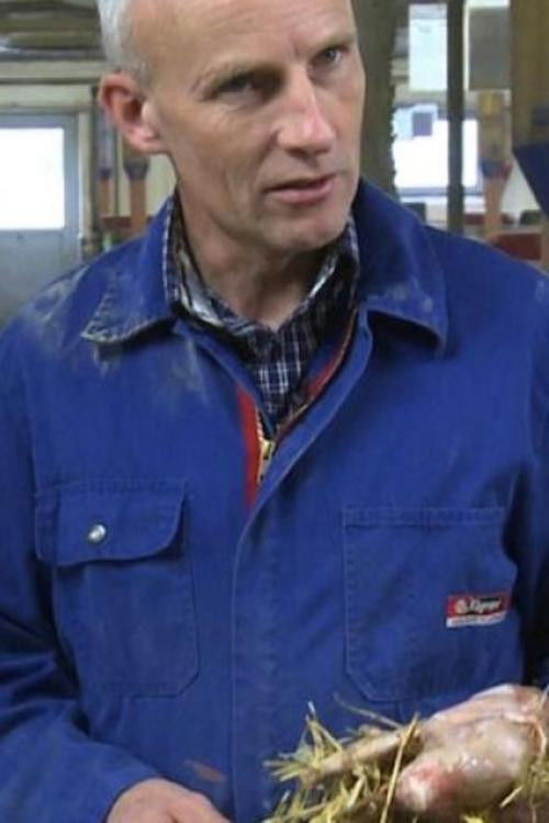 Poisoned Fields – Glyphosate, An Underrated Risk?