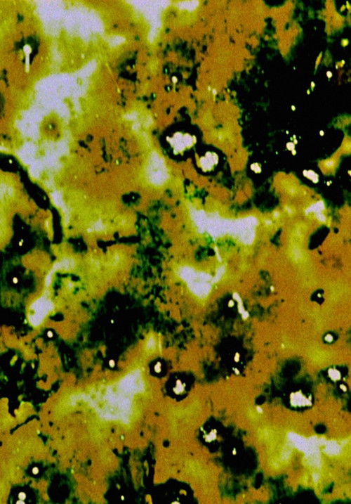 Study in Color and Black and White