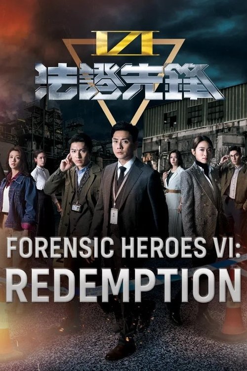 Forensic Heroes VI