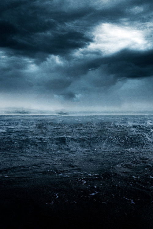 MH370: Mystery of the Lost Flight