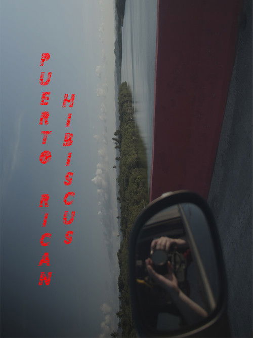 Puerto Rican Hibiscus