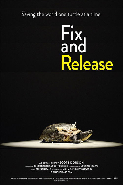 Fix and Release