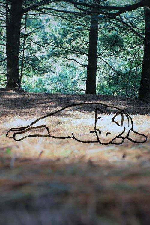 They Look Right Through You