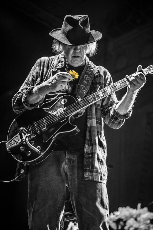 Neil Young + The Promise of the Real: Noise & Flowers