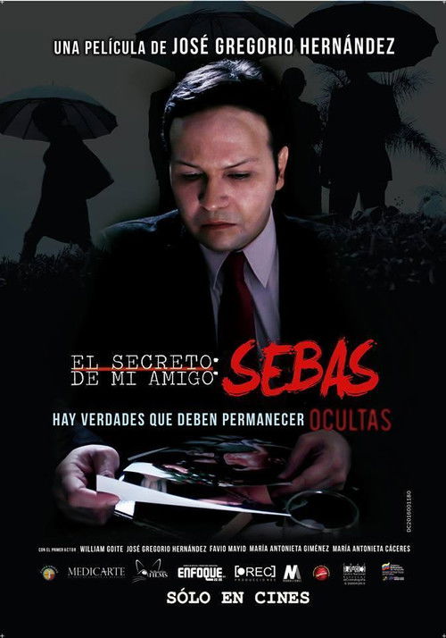 El secreto de mi amigo Sebas