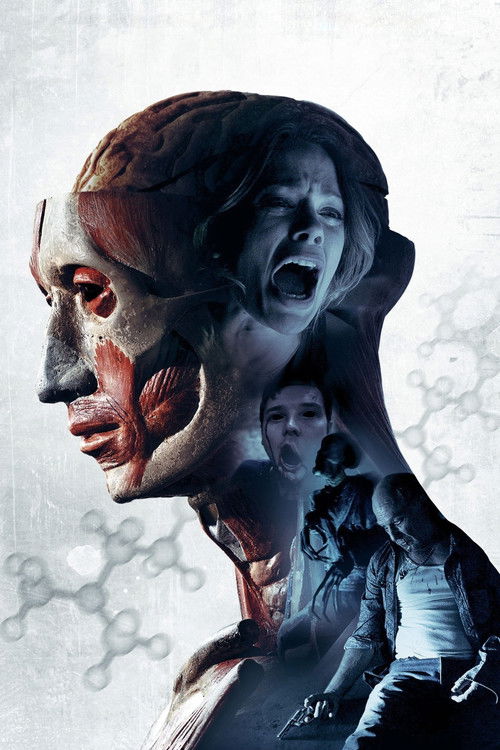 A Sikítószellem Fejezet