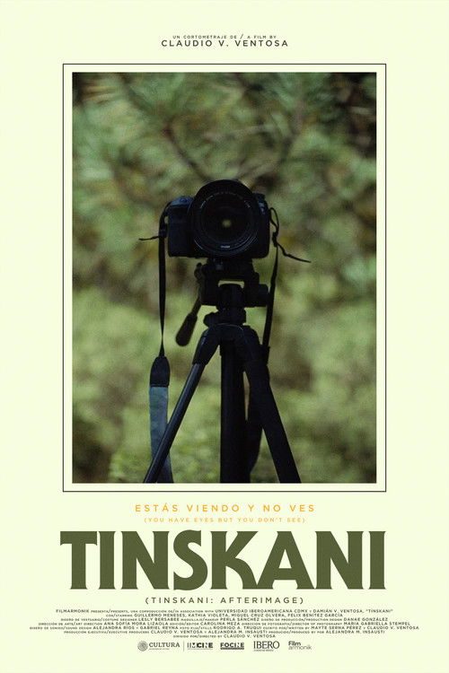 Tinskani: Afterimage