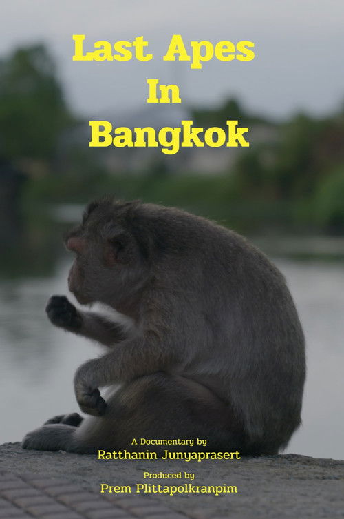 Last Apes In Bangkok