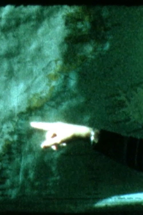 The Finger and The Message