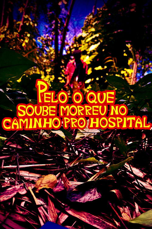 PELO O QUE SOUBE MORREU NO CAMINHO PRO HOSPITAL