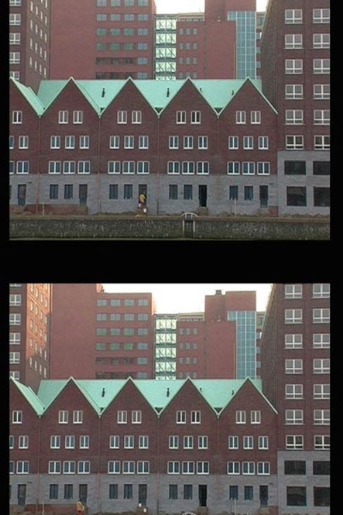 Time Is Working Around Rotterdam