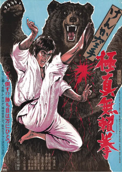 Karate Bear Fighter