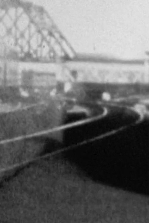 Figure With 14 Trains